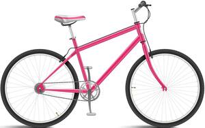 eenvoudige-stadsfiets