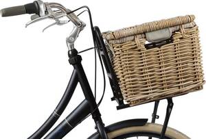 mand-e-bike-stuur