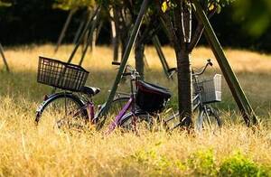 fiets-met-mand-voorop-achterop