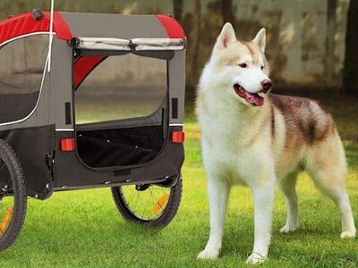 fietskar_hond_demping