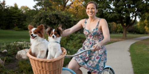 honden in fietsmand