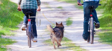 Fietsen met hond beugel