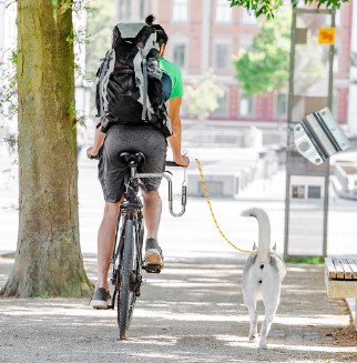 hondfietsbeugel elektrische fiets