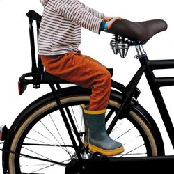 fiets rugsteun met kussen