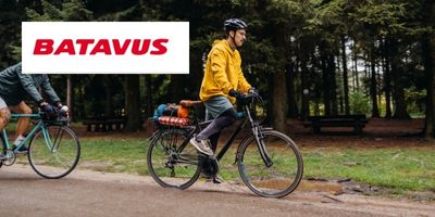 batavus herenfiets