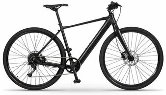 ecobike heren elektrische fiets lichtgewicht