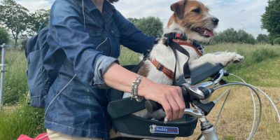 buddyrider hond