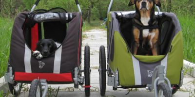 doggyride fietskar