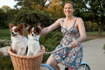 honden in fietsmand