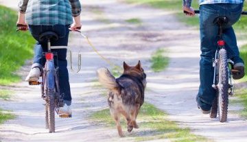 Fietsen met hond beugel