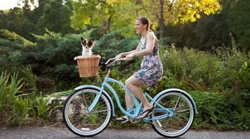 fietsmand-elektrische-fiets