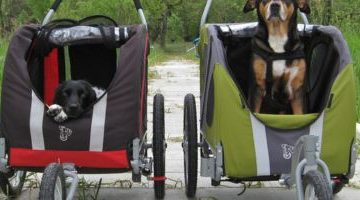 doggyride fietskar